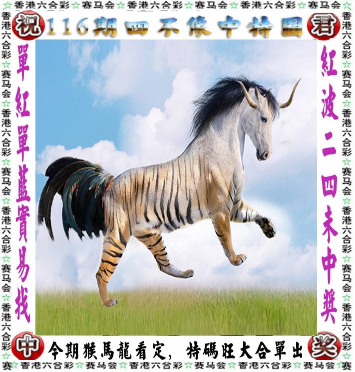 澳门彩资料大全书2023