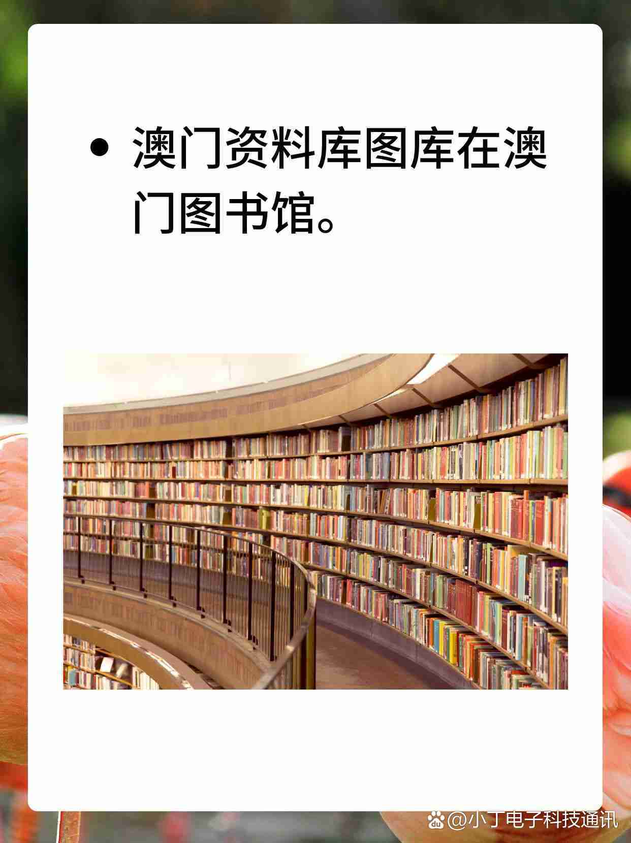 澳资料免费大全