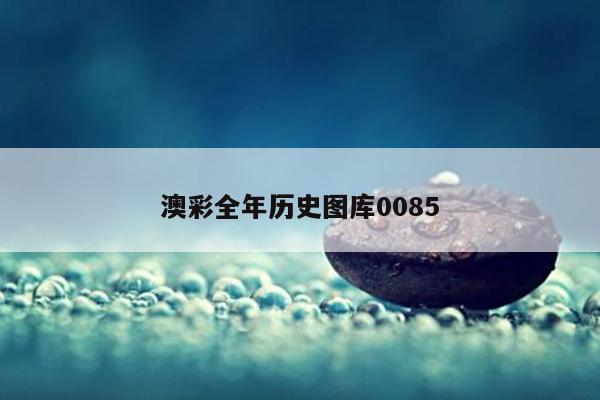 澳彩全年历史图库0085