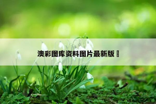 澳彩图库资料图片最新版	